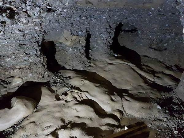 PROGRAM AKTIVACIJE TJELESNOG, MENTALNOG I DUHOVNOG POLJA LJUDI