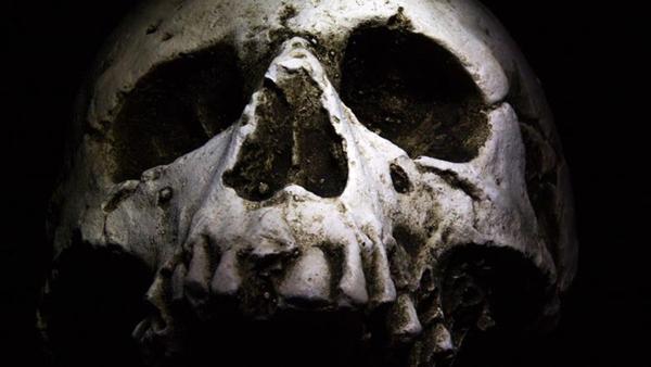 Former Pfizer VP: ‘Your government is lying to you in a way that could lead to your death.’