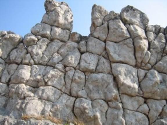 DR OSMANAGIĆ U ISTRAŽIVAČKOJ MISIJI U MAKEDONIJI U MAJU