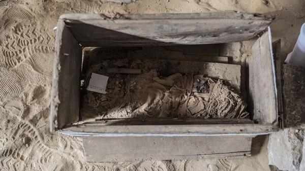 Egypt retrieves ancient priest statue from Holland