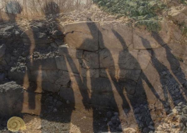 TRAGOM DIVOVA4.- ŠESTORICA