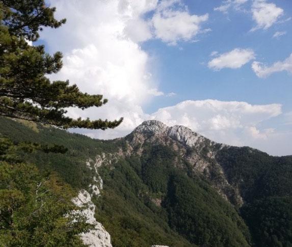 Tko je pronašao i kome su smetale kosti divova s južnog Velebita?