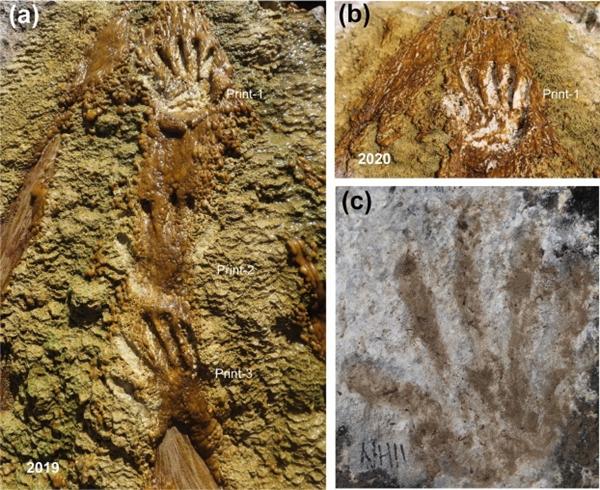Archaeologists Discover 200,000-Year-Old Hand & Footprints That Could Be the World’s Earliest Cave Art