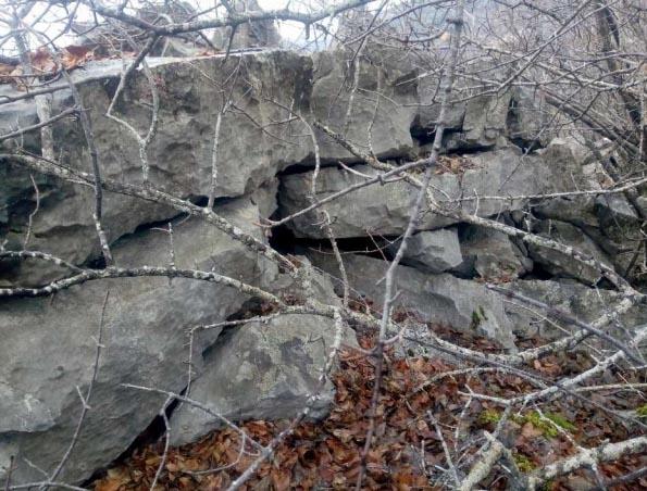 U RASTOVCU OTKRIVENA TREĆA MEGALITSKA GRADINA