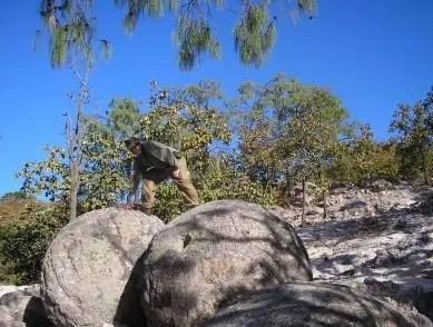 NOVAK DJOKOVIC AND DR. SAM OSMANAGIC: A DYNAMIC DUO WORKING TO CHANGE THE WORLD THROUGH SCIENCE AND INNOVATION