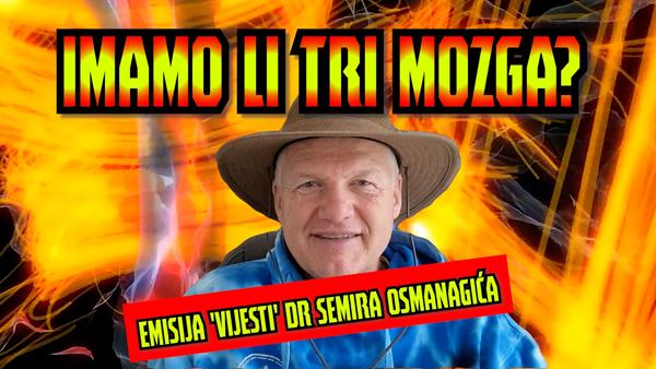 Imamo li tri mozga?