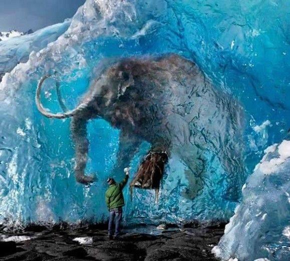 KO SU UBICE GOROSTASA?! (55)