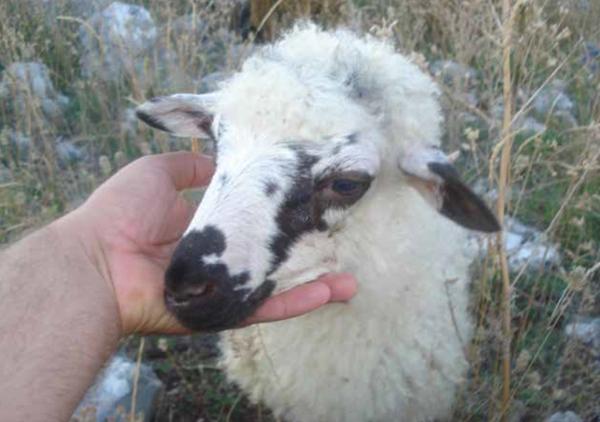 KRAJ JEDNE VELIKE PRIČE