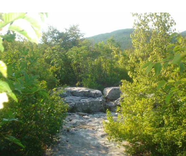 KAMENICA ILI GROBNICA