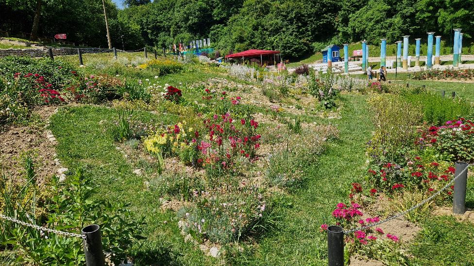 Remarkable Success for Park ‘Ravne 2’