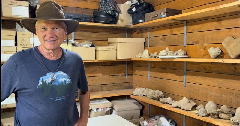 Dr. Semir Osmanagić: “Pronašli smo veliki broj artefakata na nekoliko lokacija”