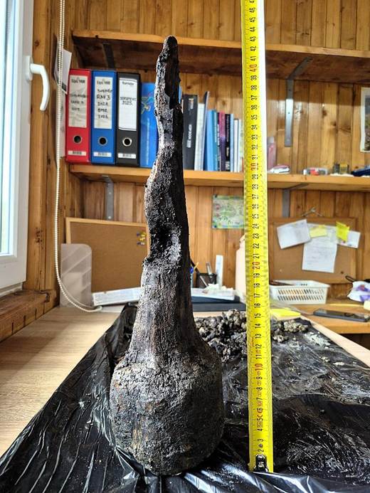 EXCLUSIVE: FIRST ARTIFACTS FOUND IN THE ‘RAVNE 6’ TUNNELS BY THE FOUNDATION’S ARCHAEOLOGIST