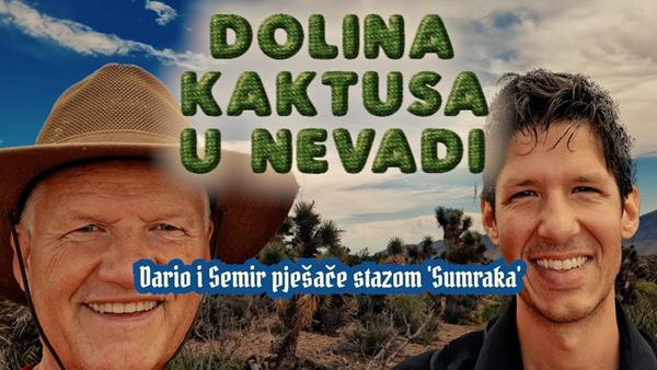 Dolina kaktusa u Nevadi