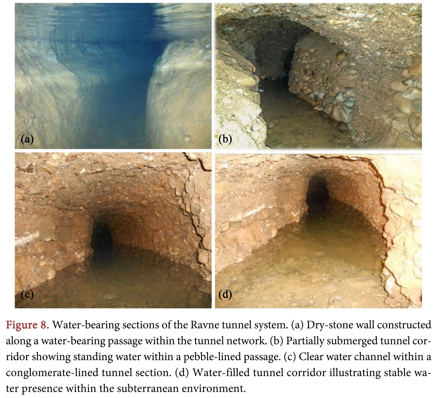 Scientific Research Publishing