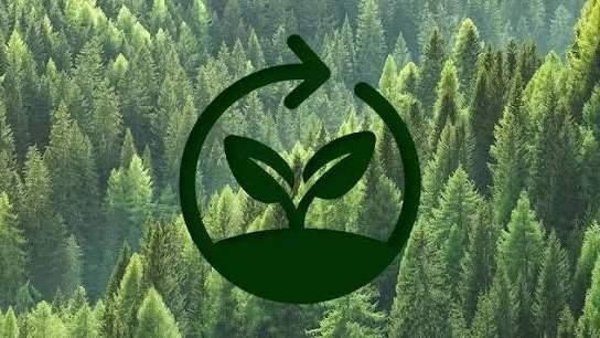 PIRAMIDA WOOD DAYS 5 – HUM ENERGY SUMMIT u Visokom okuplja stručnjake iz drvne industrije, šumarstva i energetike