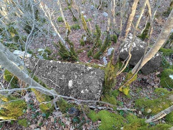 U ZALEĐU TRILJA OTKRIVEN MEGALITSKI BEDEM