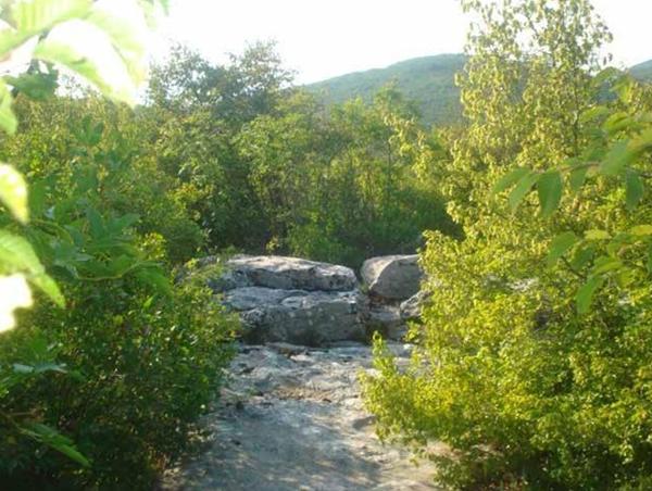 TRAGOM DIVOVA 12. JEDINKOV GROB