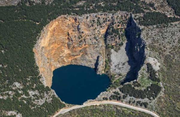 GOMILA NA ZELENOJ GLAVICI