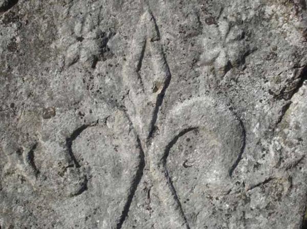 PODRTLE-MAGIJA ŽENE