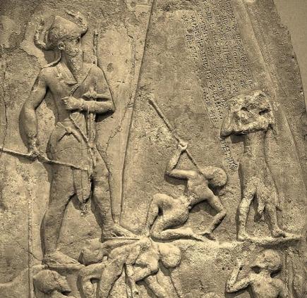 TRAGOM DIVOVA 15.