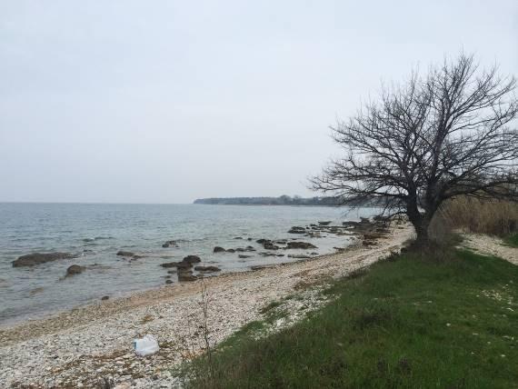 ISTARSKA ZAMBRATIJA, SIPAR I MOTOVUN