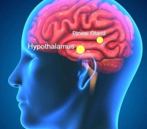 PINEALNA ŽLIJEZDA, DUHOVNOST I BOSANSKE PIRAMIDE PREMA VJEŠTAČKOJ INTELIGENCIJI