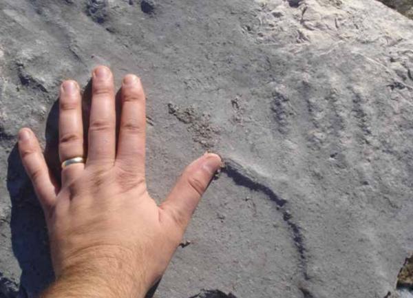 ZBILJA – SVE JE U NAŠIM RUKAMA