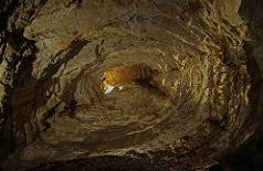 STAJALI SMO NA HARMONIJINOJ OSI