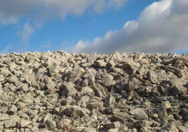 ENIGMA ZVONAREVA GROBA