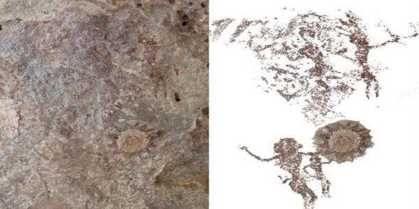 Istočni Timor: Otkriveni drevni crteži multikulturalnog društva