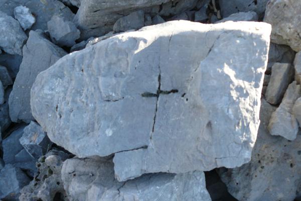 GRADINA ROŽE – ŽIG PREDSKAZANJA