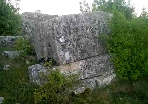 NAKLO – NA KRILIMA PTICA