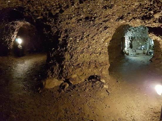 ZAŠTO VIRUSI NE VOLE PRAHISTORIJSKE TUNELE RAVNE U VISOKOM?