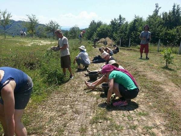 RADOVIMA NA BOSANSKOJ PIRAMIDI MJESECA ZAVRSEN JULSKI DIO VOLONTERSKE SEZONE