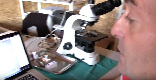 Live blood tests – prehistoric Ravne Tunnel Labyrinth, September, 2017