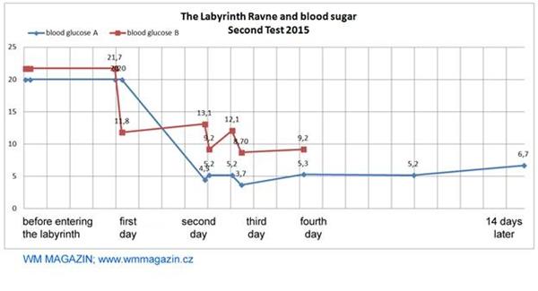 SVJEDOČANSTVA: VIDEO ZAPISI O LJEKOVITOJ ENERGIJI BOSANSKIH PIRAMIDA