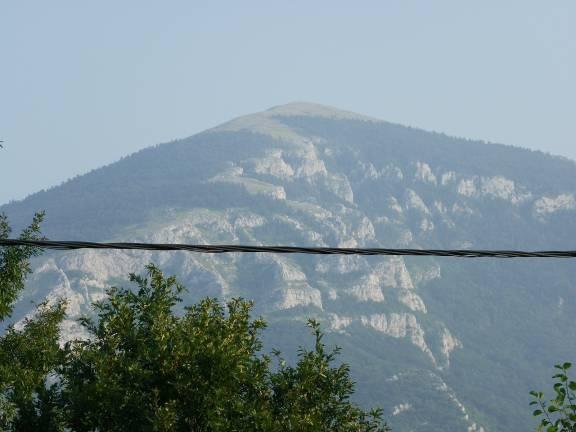 MIŠLJENJE DR. OSMANAGIĆA O RTNJU