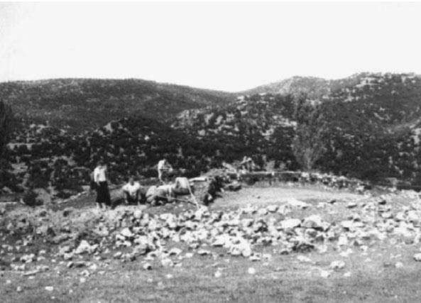 ZABORAVLJENI DNEVNIK DOKAZ PRAPOVIJESNOG PORIJEKLA DIJELA STEĆAKA