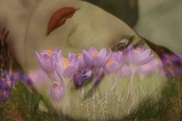 GABELA „ZORA U ŠAFRAN PLAŠTU“