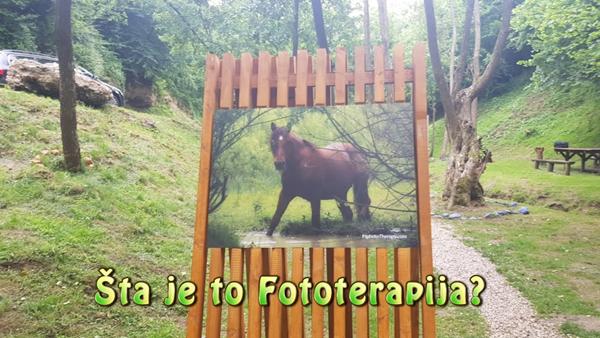 Šta je to Fototerapija