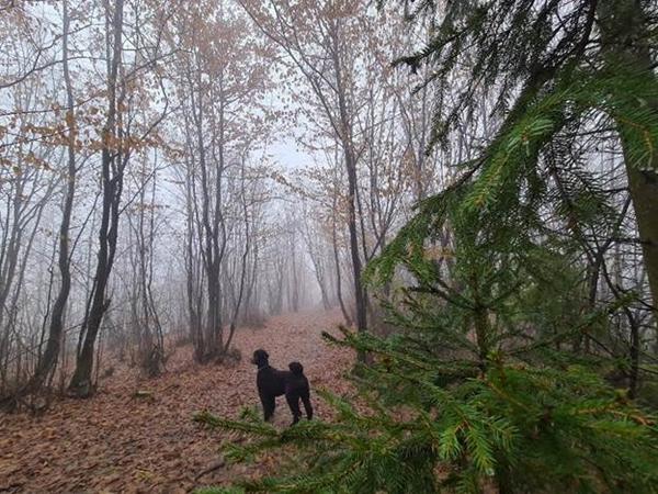 PUT INSPIRACIJE U PARKU ‘RAVNE 2’