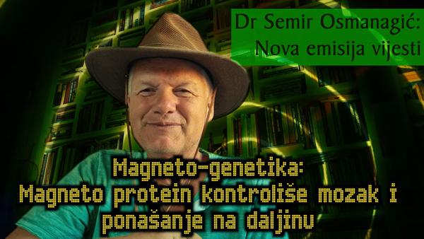 Magneto-genetika: Magneto protein kontroliše mozak i ponašanje na daljinu