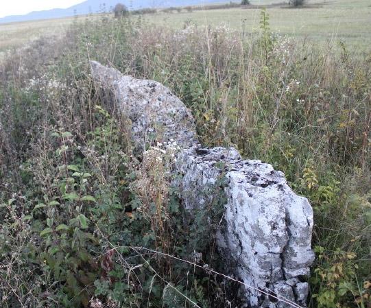 Otkriveni novi stećci ili nadgrobnice s crkvine u ličkom selu Podum