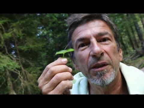 Planina Tajna doline piramida